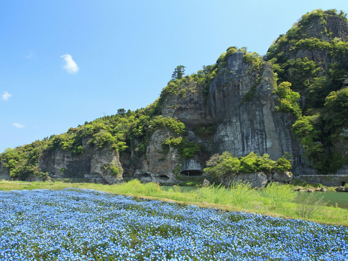 Ao-no-domon Tunnel_4