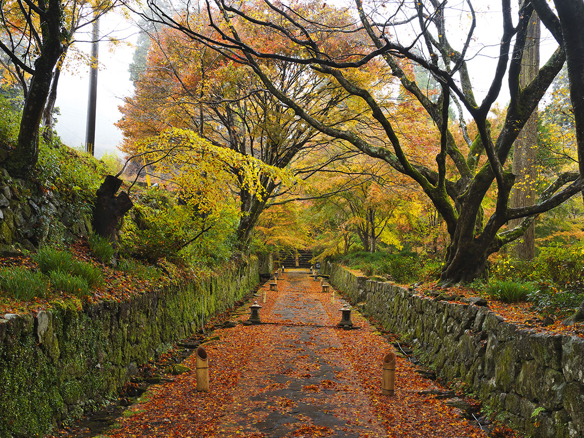 Futago-ji Temple_4