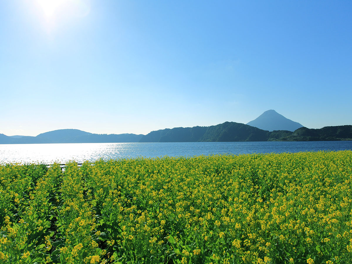 Lake Ikeda_4