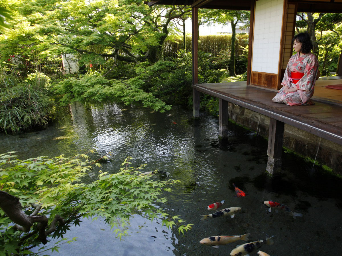 City of Swimming Carp_1