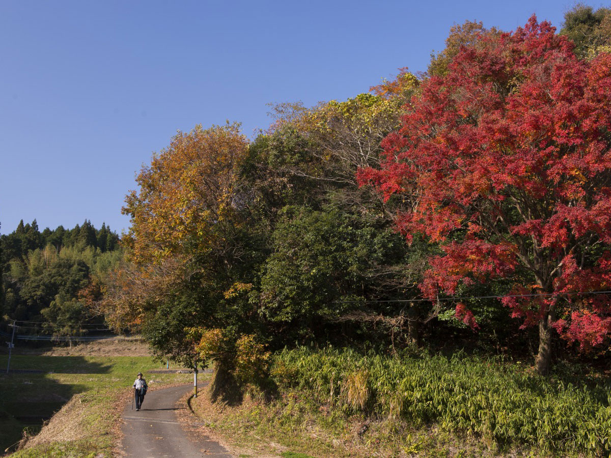 Kyushu OLLE (Okubungo Course)_2