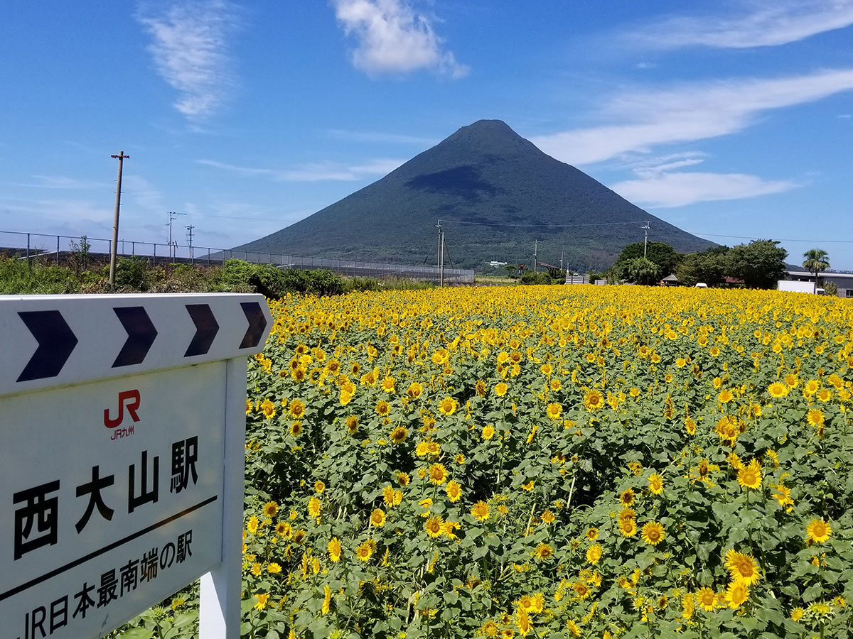 Nishi-Oyama Station_1