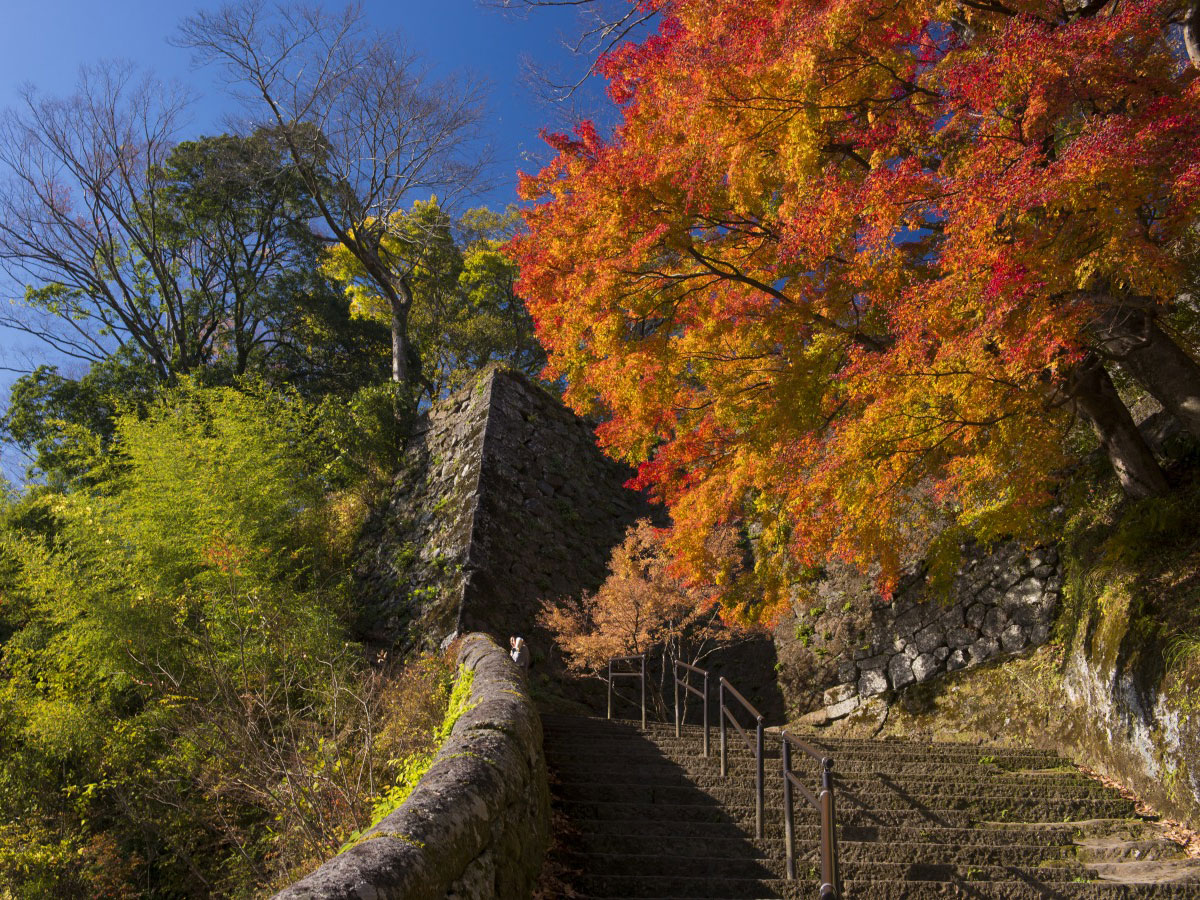 Oka Castle Ruins_2