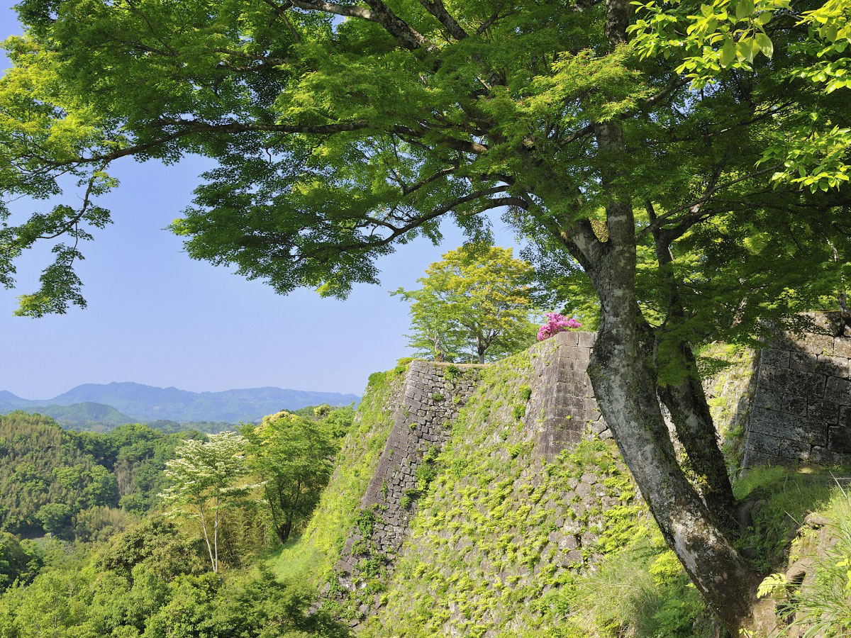 Oka Castle Ruins_3