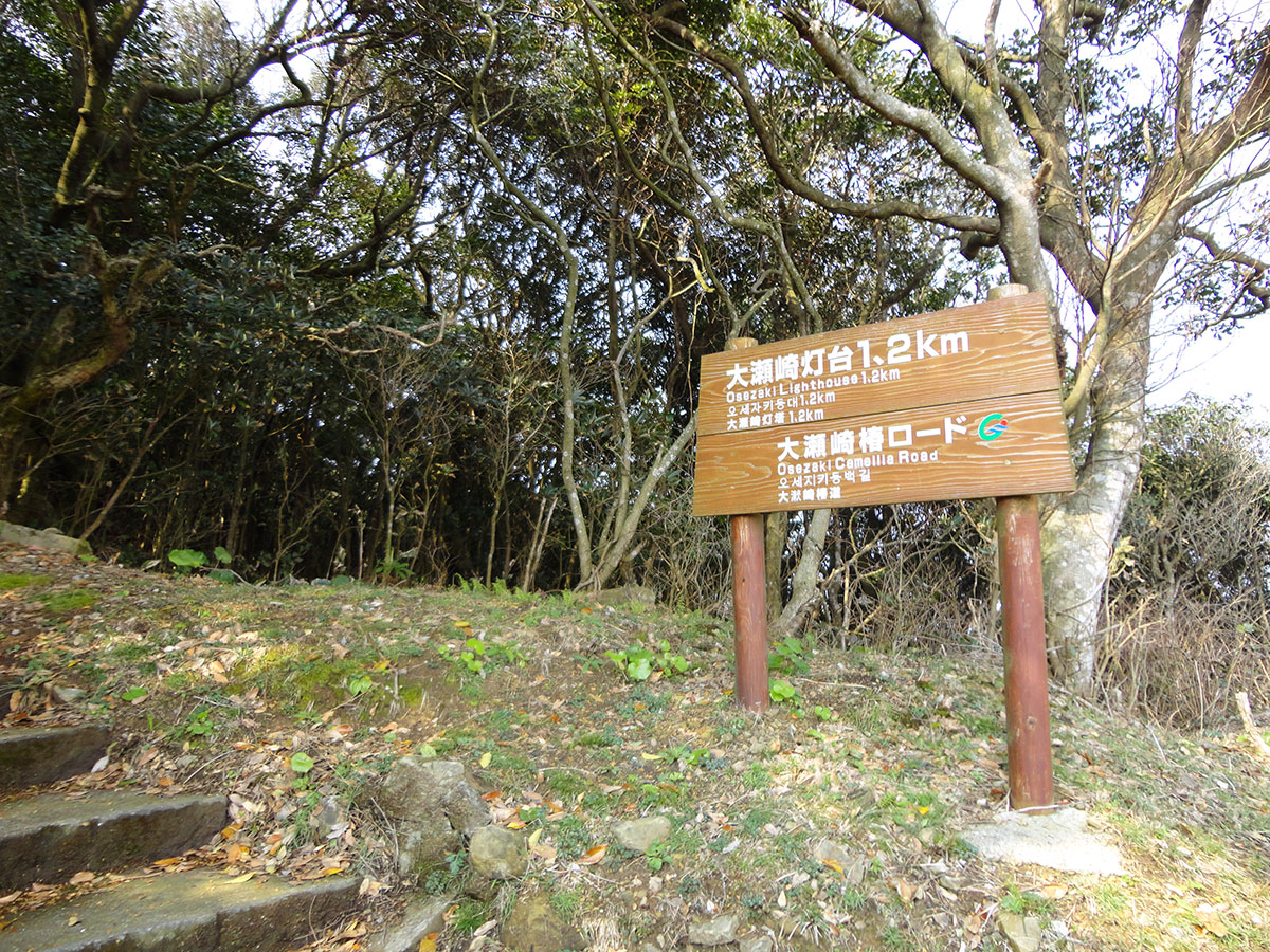 Osezaki Lighthouse & Hiking Trail_2