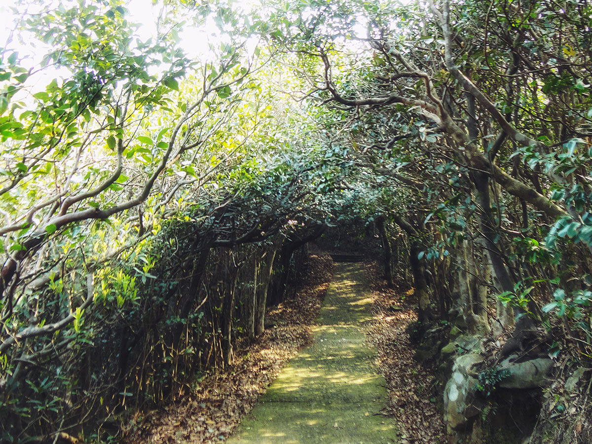 Osezaki Lighthouse & Hiking Trail_3