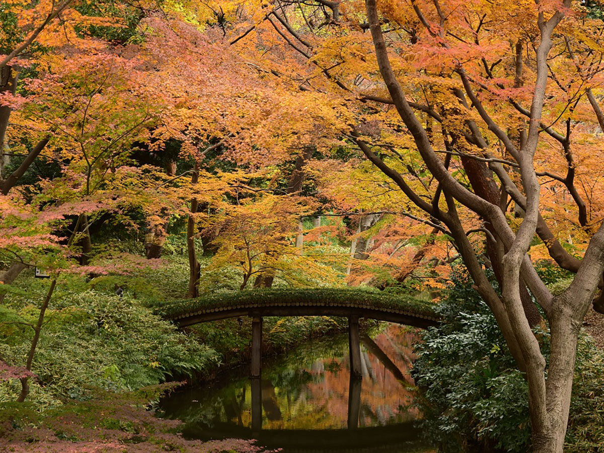 Rikugien Gardens_4