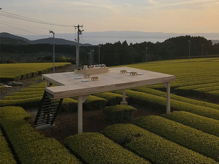 Ureshino-cha Tea Tourism_1