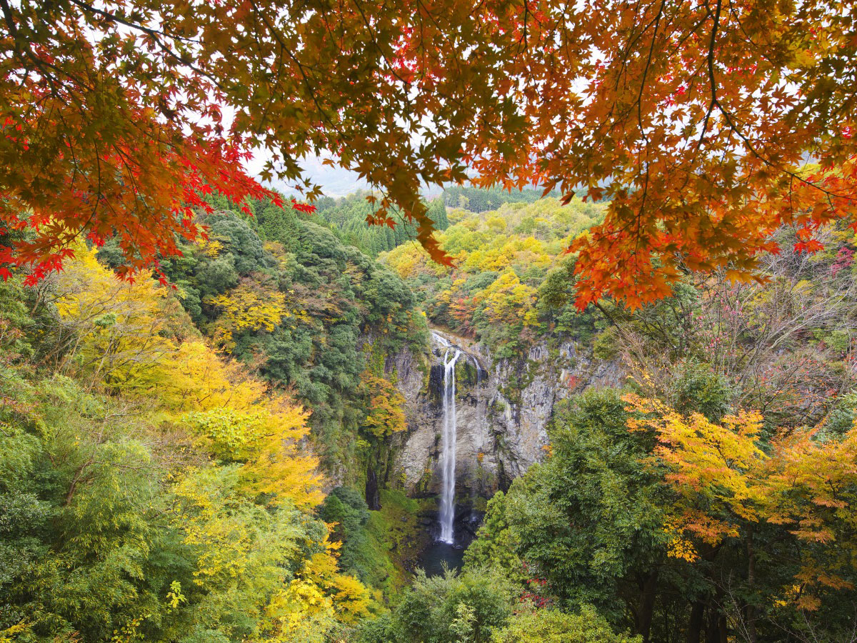 Yaba Gorge, Nakatsu (Red autumnal leaves)_4