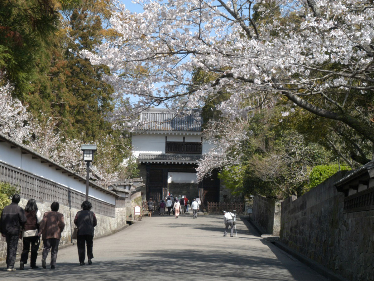 Obi Castle