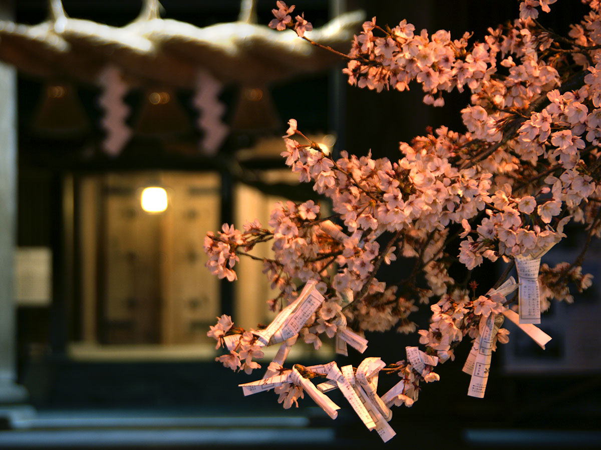 Aso Shrine and Aso Monzen Shopping Street_3