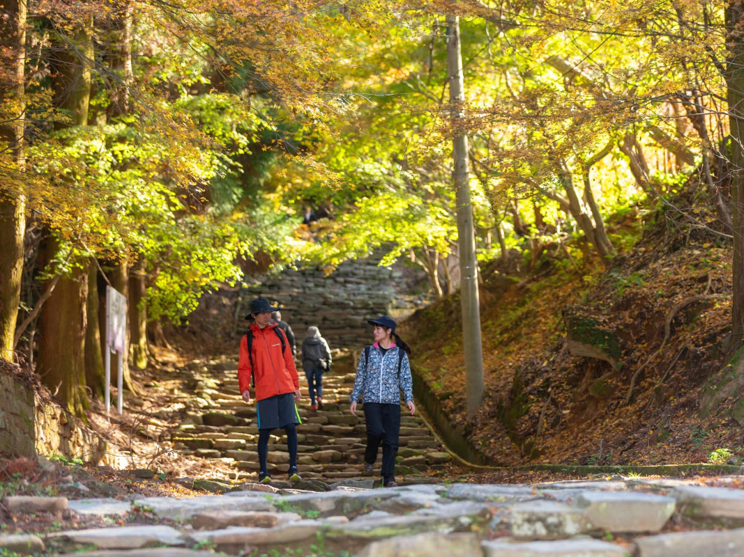 Kyushu Olle_3