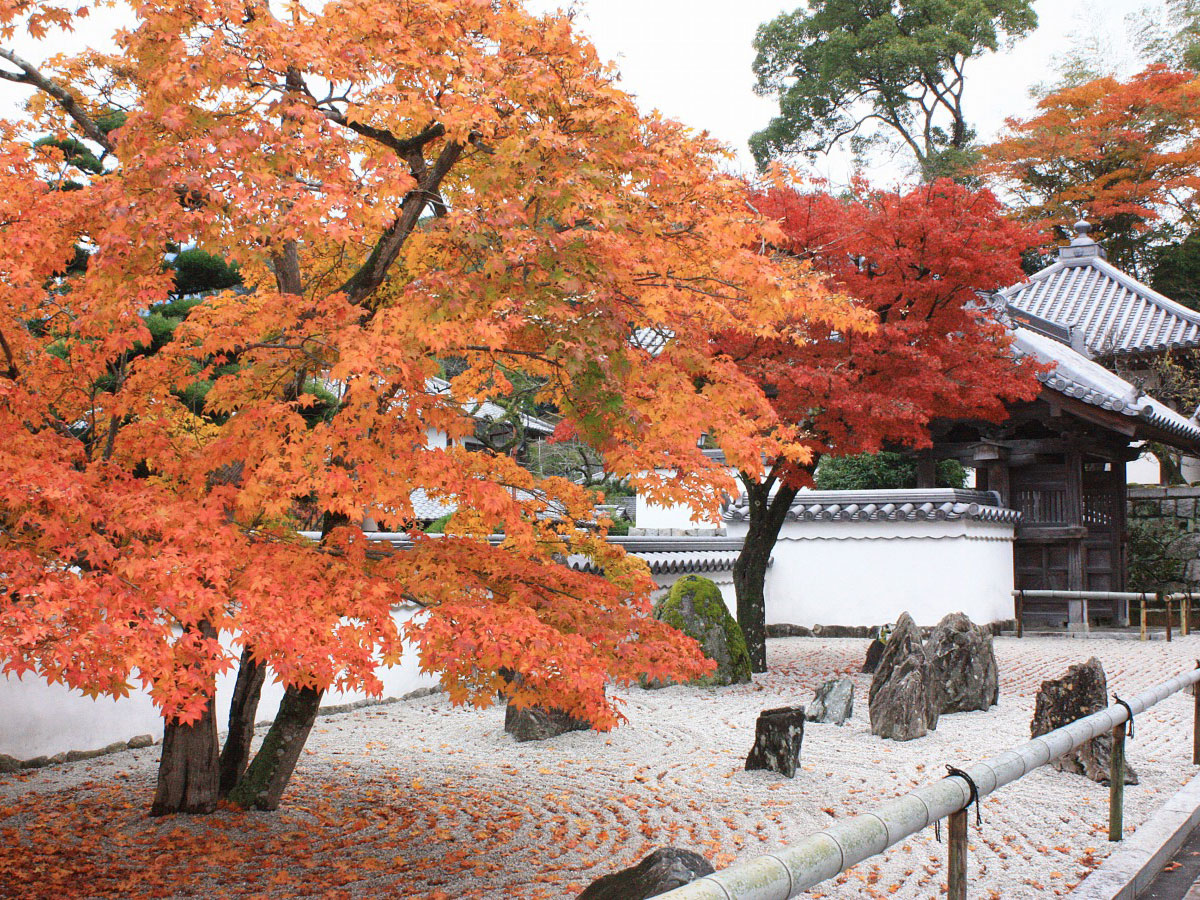 Komyozenji Temple _2