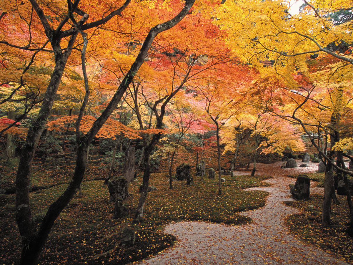 Komyozenji Temple _3