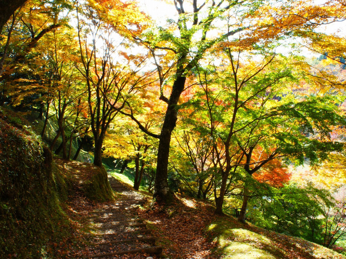 Kyushu OLLE (Okubungo Course)_1
