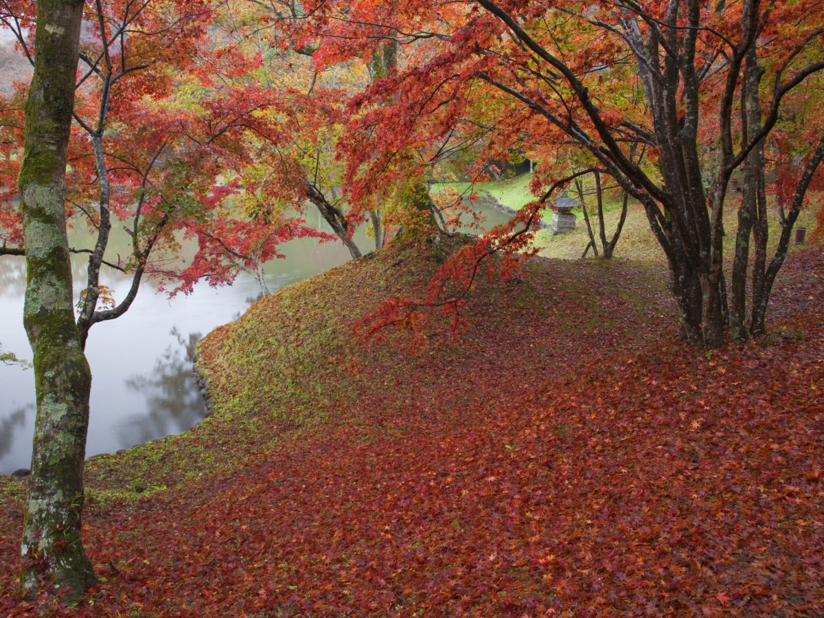 Kyushu OLLE (Okubungo Course)_3