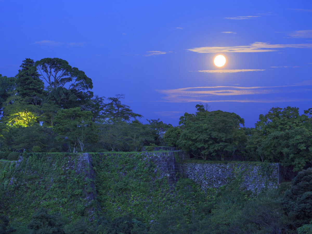Oka Castle Ruins_4