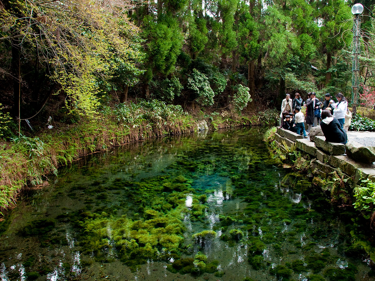 Shirakawa Suigen (Wellspring)_2