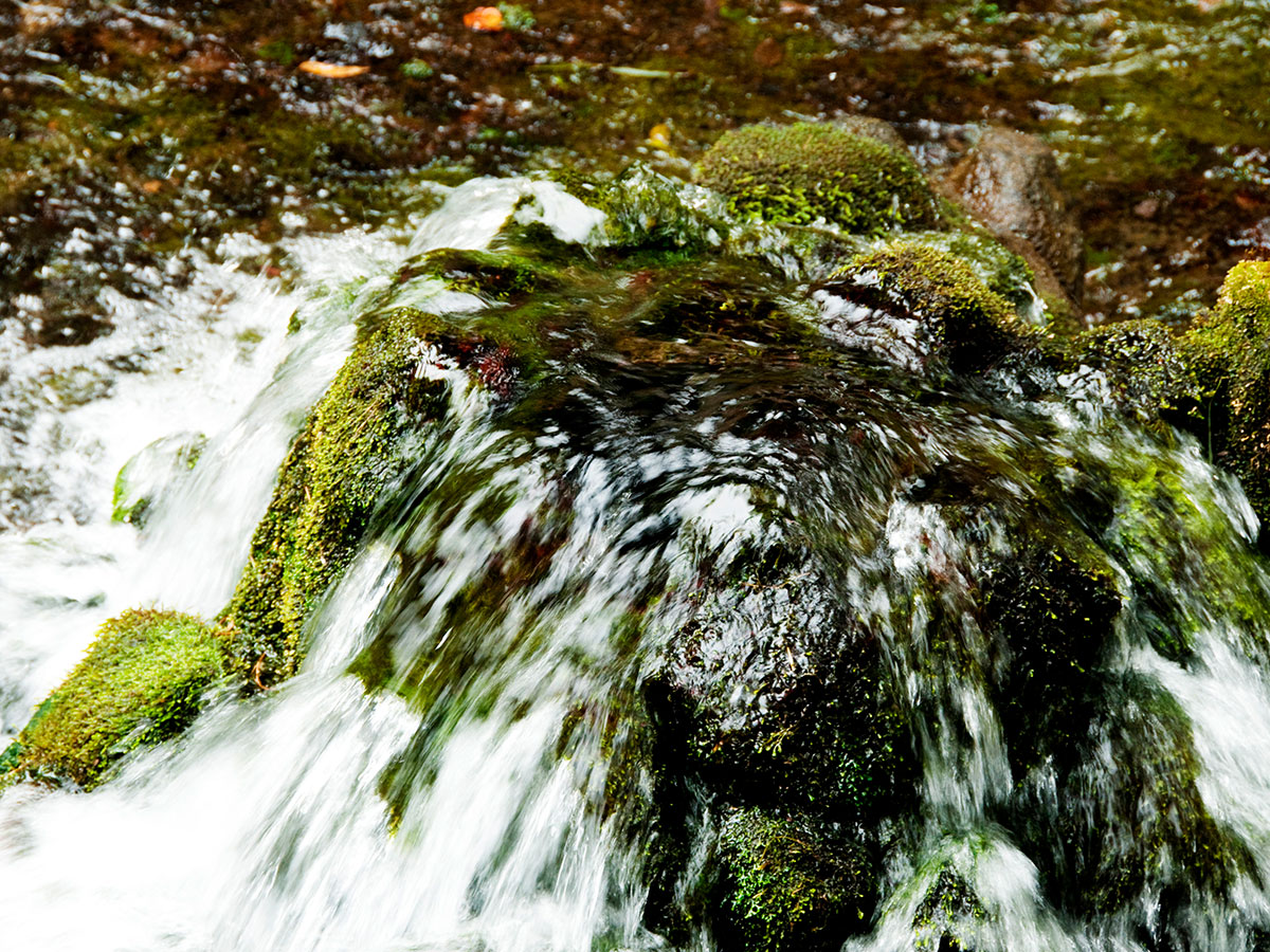 Shirakawa Suigen (Wellspring)_3