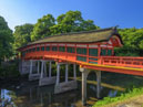 Usa Jingu Shrine_4