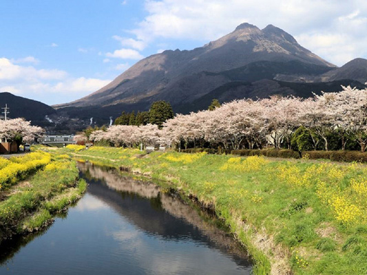 Yufuin Hot Spring_2
